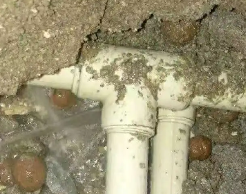 牟定测漏水多少钱