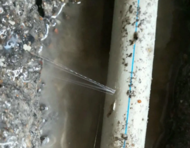 牟定测漏水哪家好