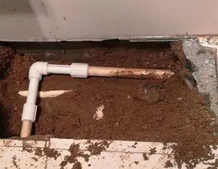 牟定测漏水哪家好