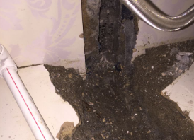 牟定卫生间测漏水哪家好