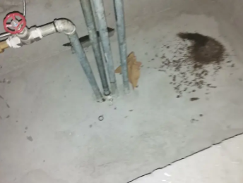 牟定卫生间测漏水价格明细