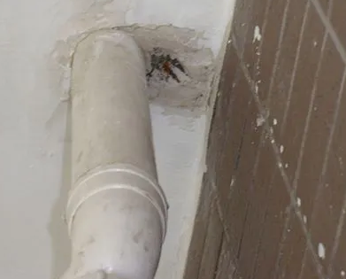 牟定漏水检测哪家好